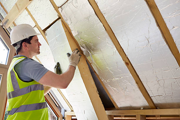 Best Attic Insulation Installation  in Cridersville, OH